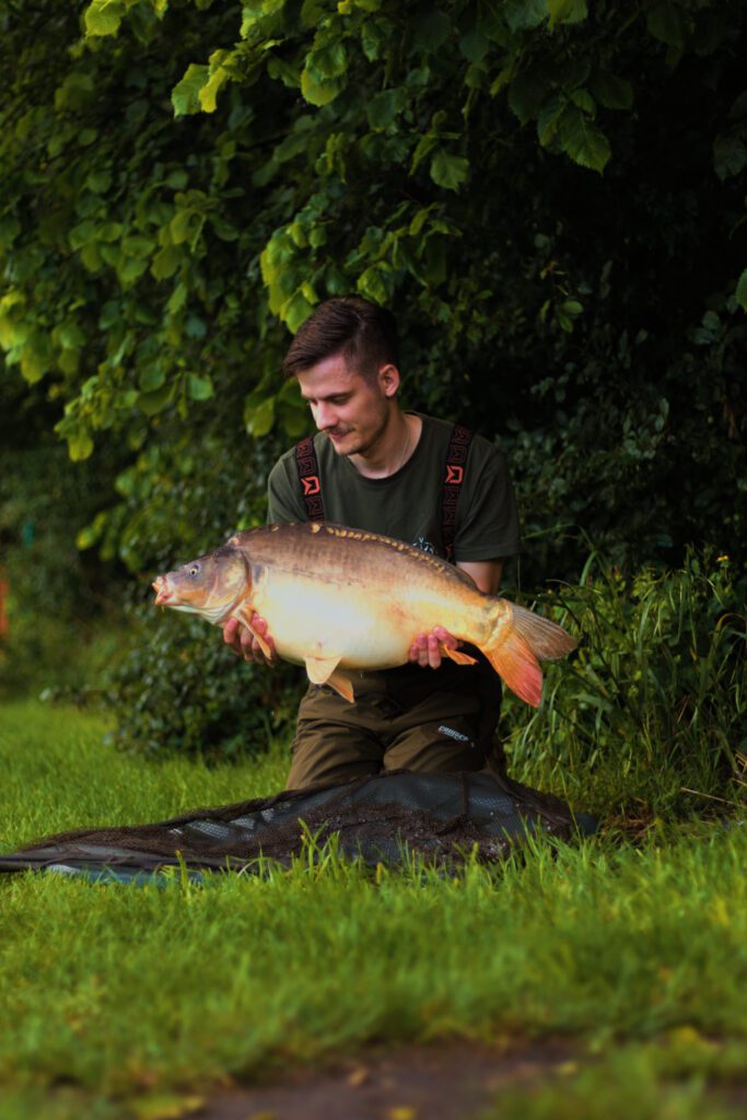 swit_40 świtezianka - karp